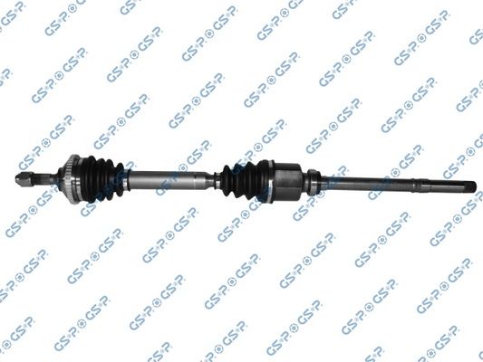 GSP-245010