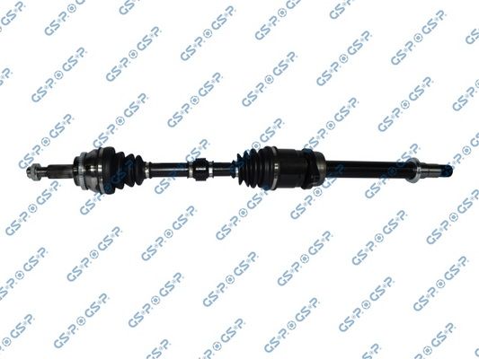 GSP-259446