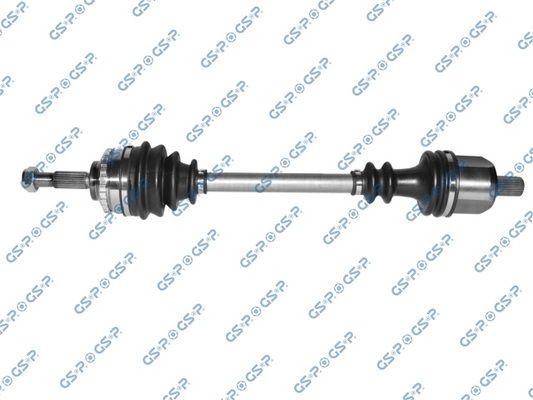 GSP-299169