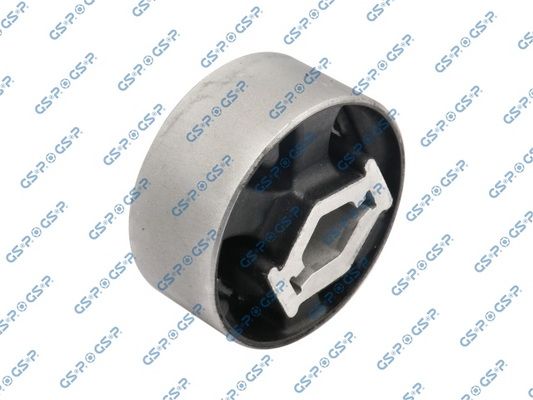 GSP-530569