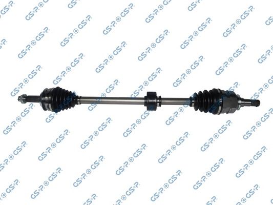GSP-259699