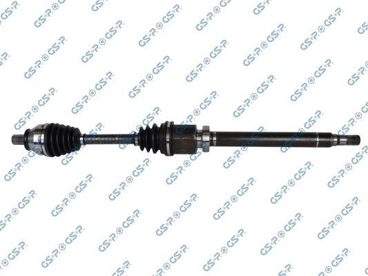GSP-218341