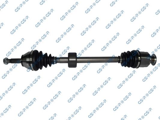 GSP-250205