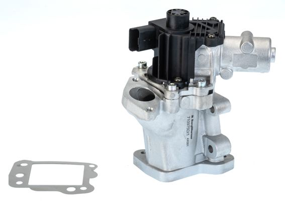 WAL-710975D