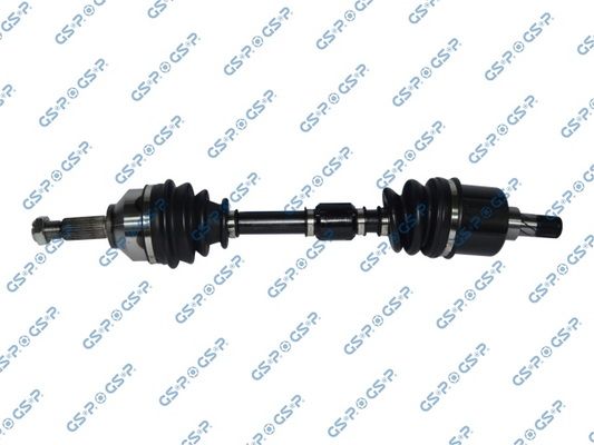 GSP-218195