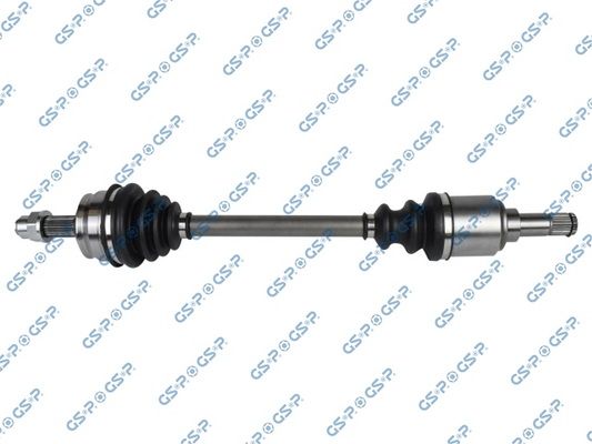 GSP-217018