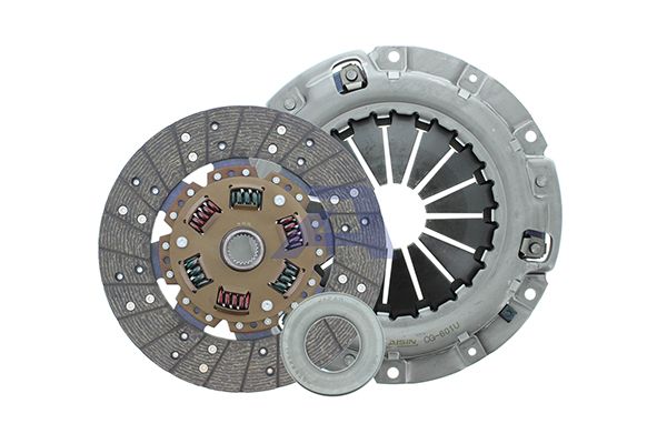 AIS-KG009