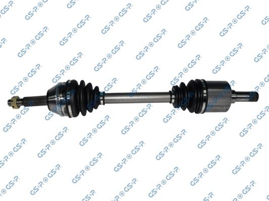 GSP-218293