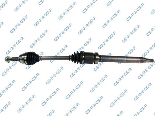 GSP-218333