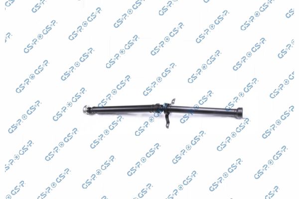 GSP-PS900581