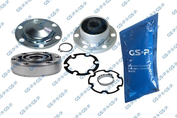 GSP-699219
