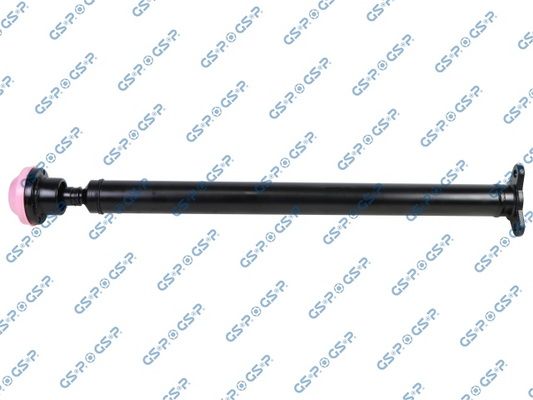 GSP-PS900338