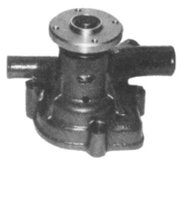 AIS-WN053