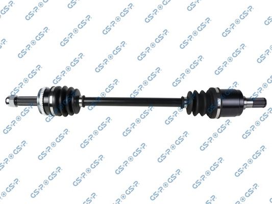 GSP-224520