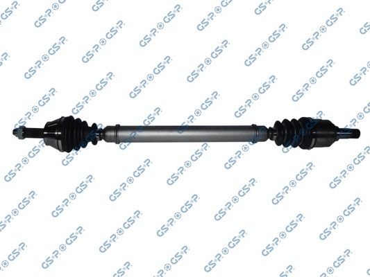 GSP-218289