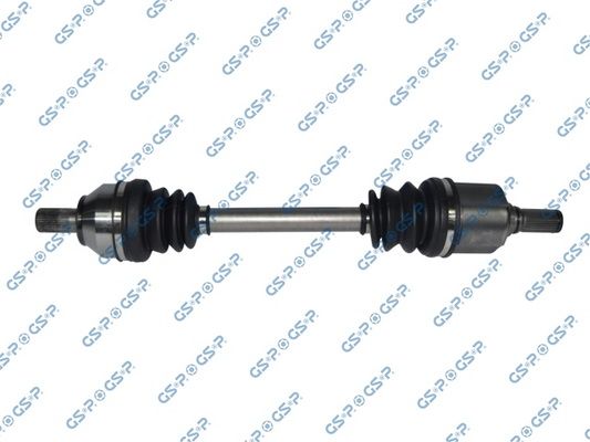 GSP-218193