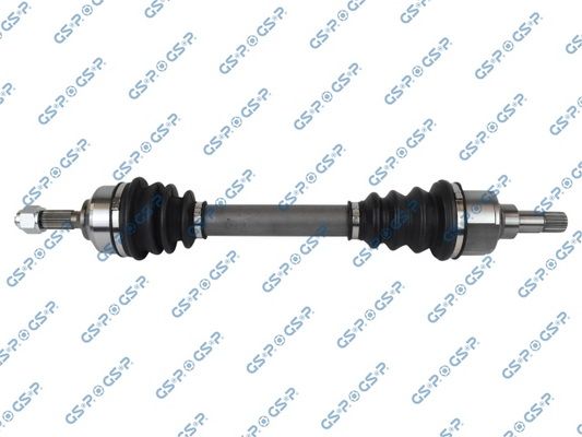 GSP-245031