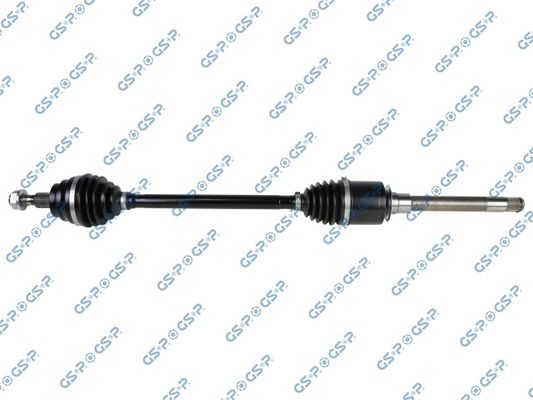 GSP-205061OL