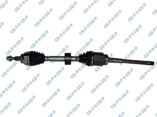GSP-218509