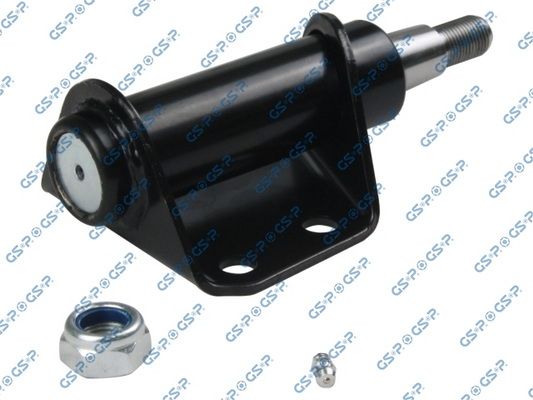 GSP-S010043