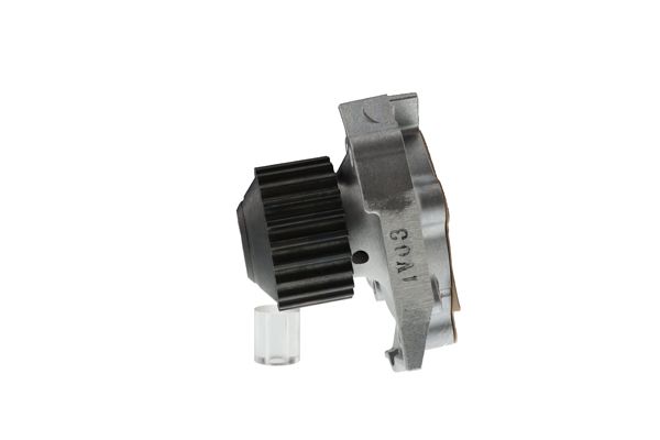AIS-WPS003