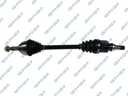 GSP-299070