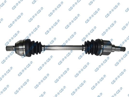 GSP-218189