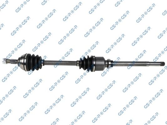 GSP-210197