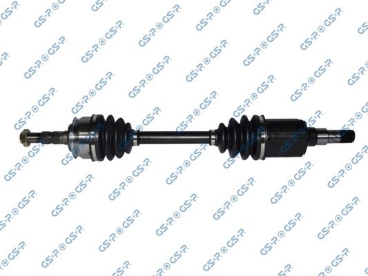 GSP-299246