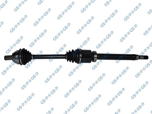 GSP-218350