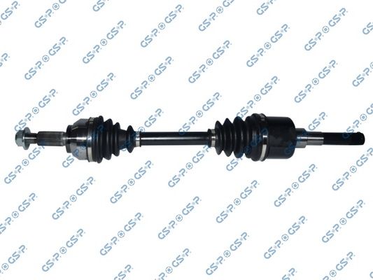 GSP-218297