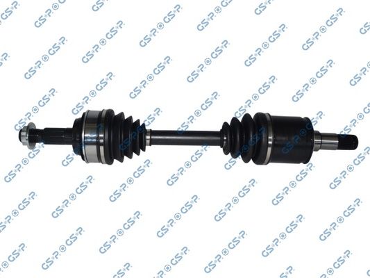 GSP-259613