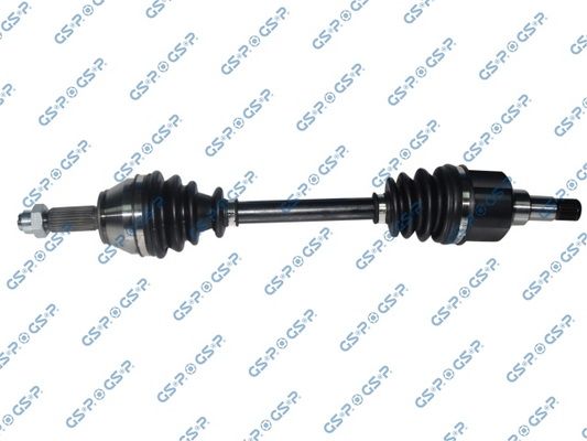 GSP-218284