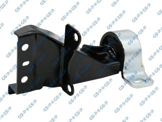 GSP-510787
