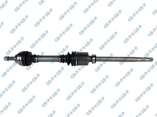 GSP-299197