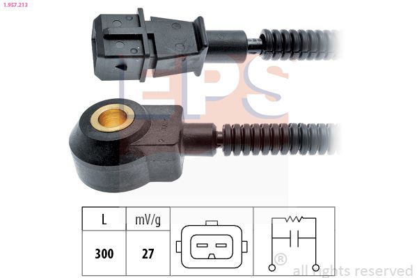 EPS-1957 213
