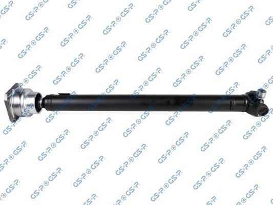 GSP-299303
