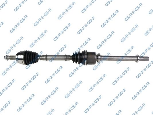 GSP-250596