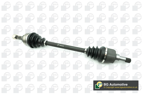 DS1420L
