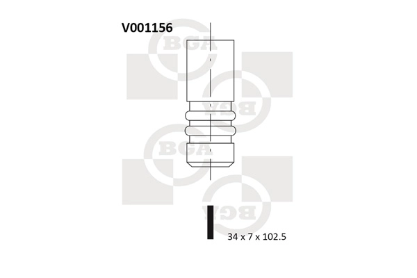 V001156