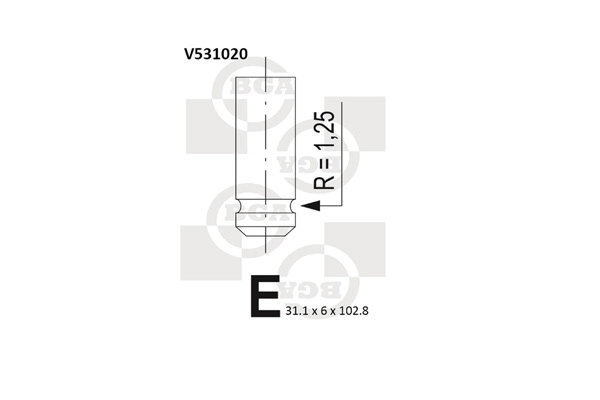 V531020