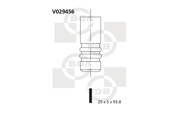V029456