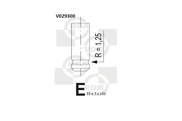 V029300
