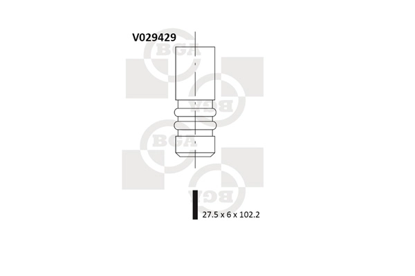 V029429