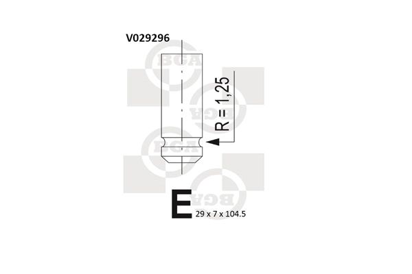 V029296