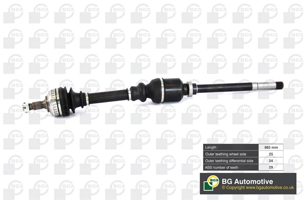 DS1409RA