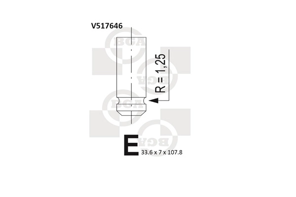 V517646