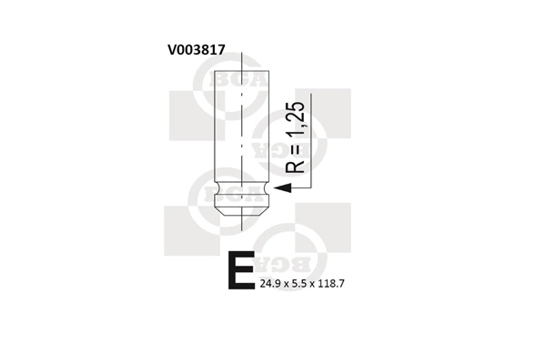 V003817