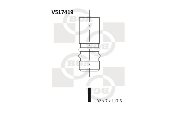 V517419