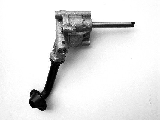 LP0404